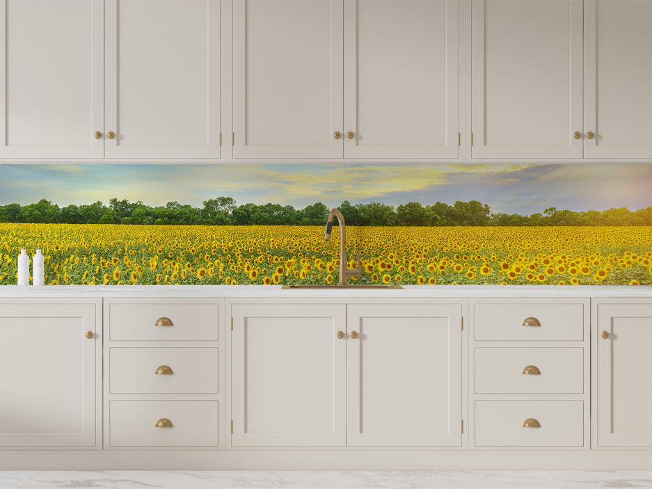 Paraschizzi cucina "Campo di girasoli"